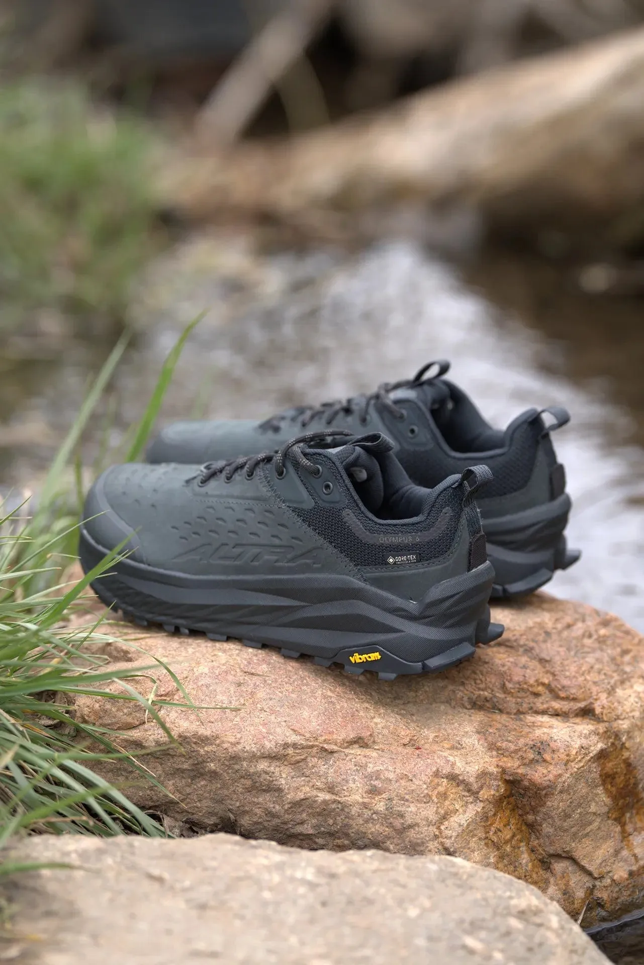 Olympus 6 Hike Low Gtx 2 [Women's]