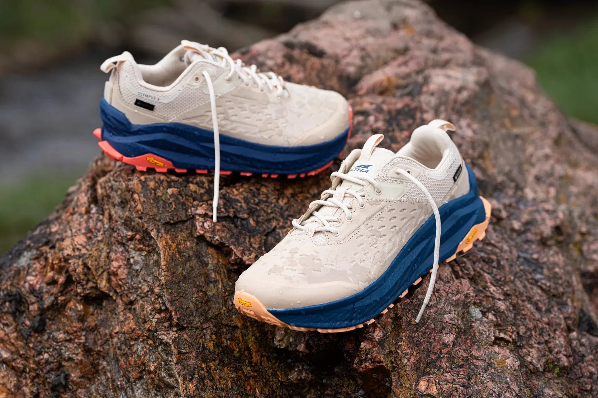 Olympus Hiker Low Gtx 2 [Men's]