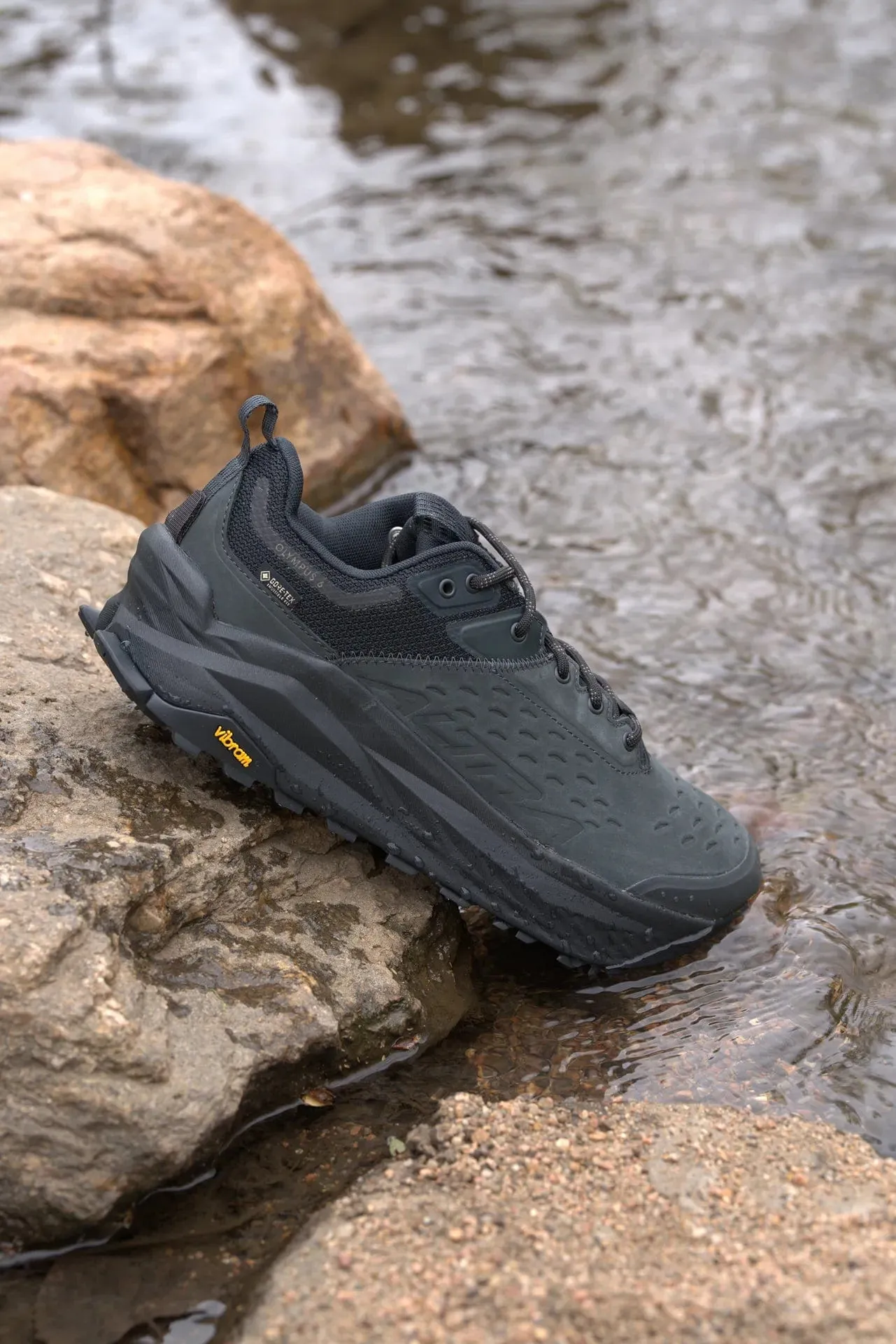 Olympus Hiker Low Gtx 2 [Men's]
