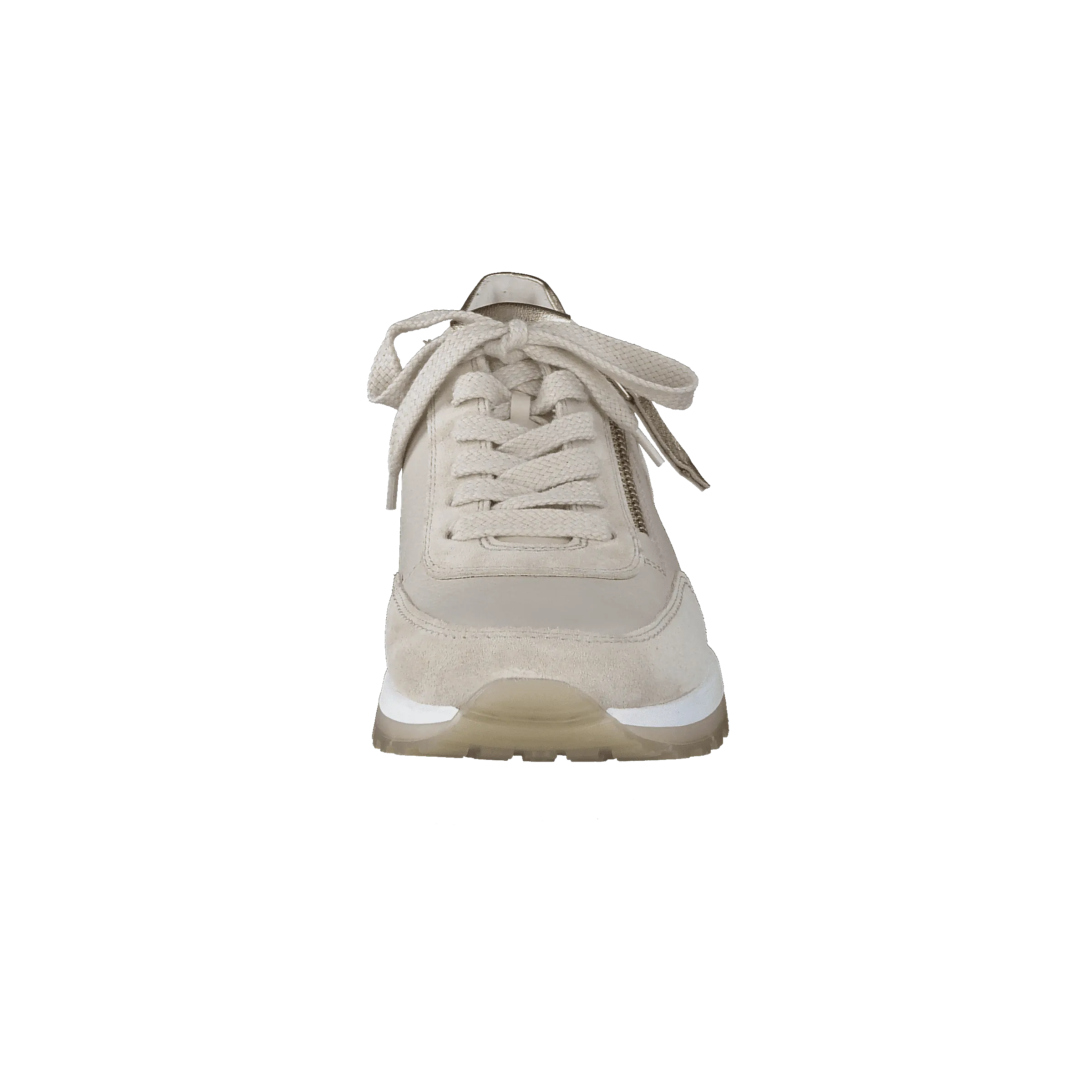 Paul Green 5310005- Trainer