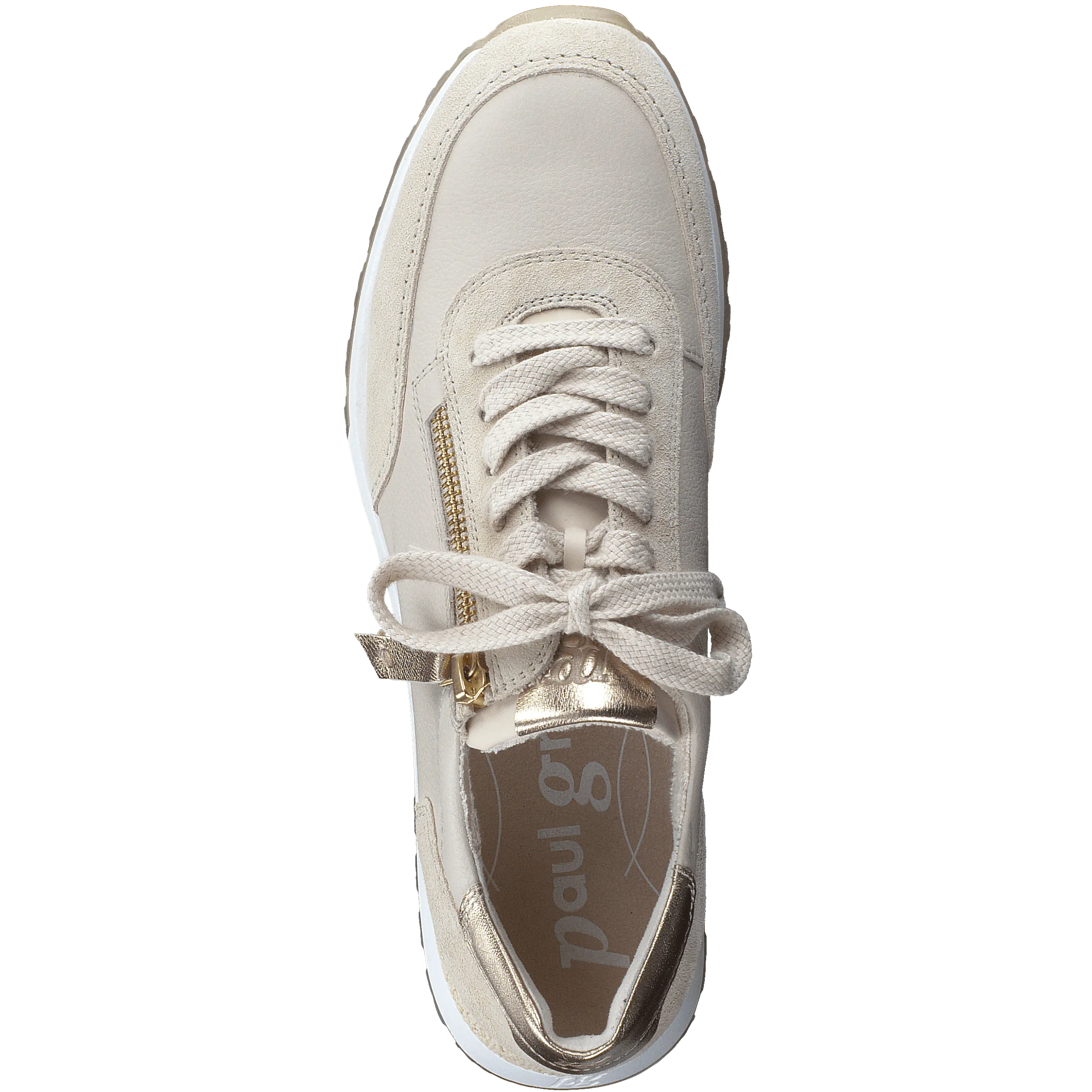 Paul Green 5310005- Trainer