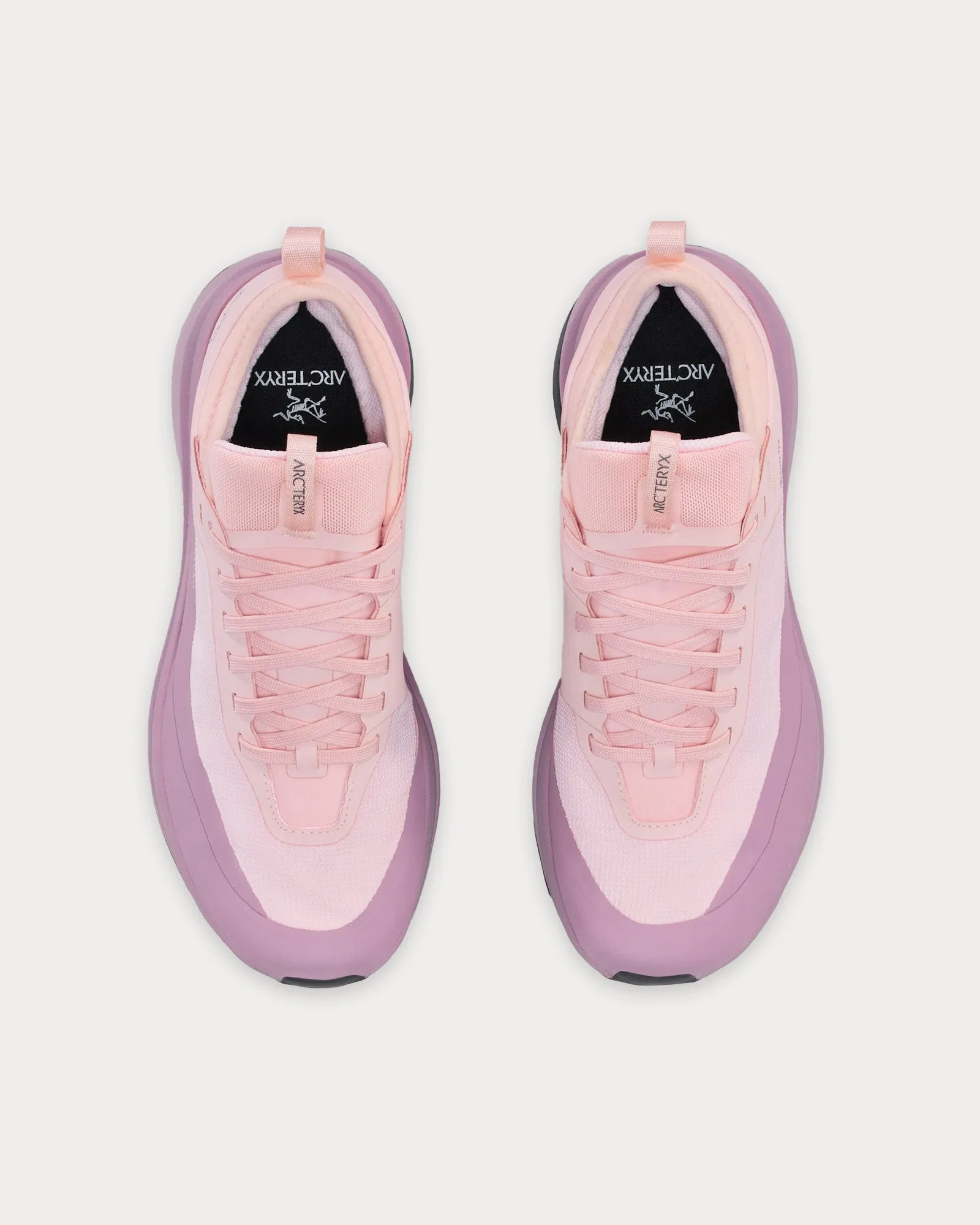 Sylan GTX Alpine Rose / Interstellar Running Shoes