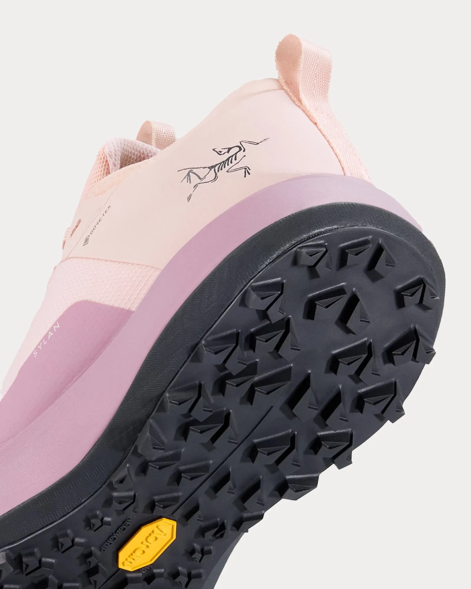 Sylan GTX Alpine Rose / Interstellar Running Shoes