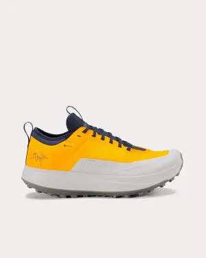 Sylan GTX Edziza / Solitude Running Shoes