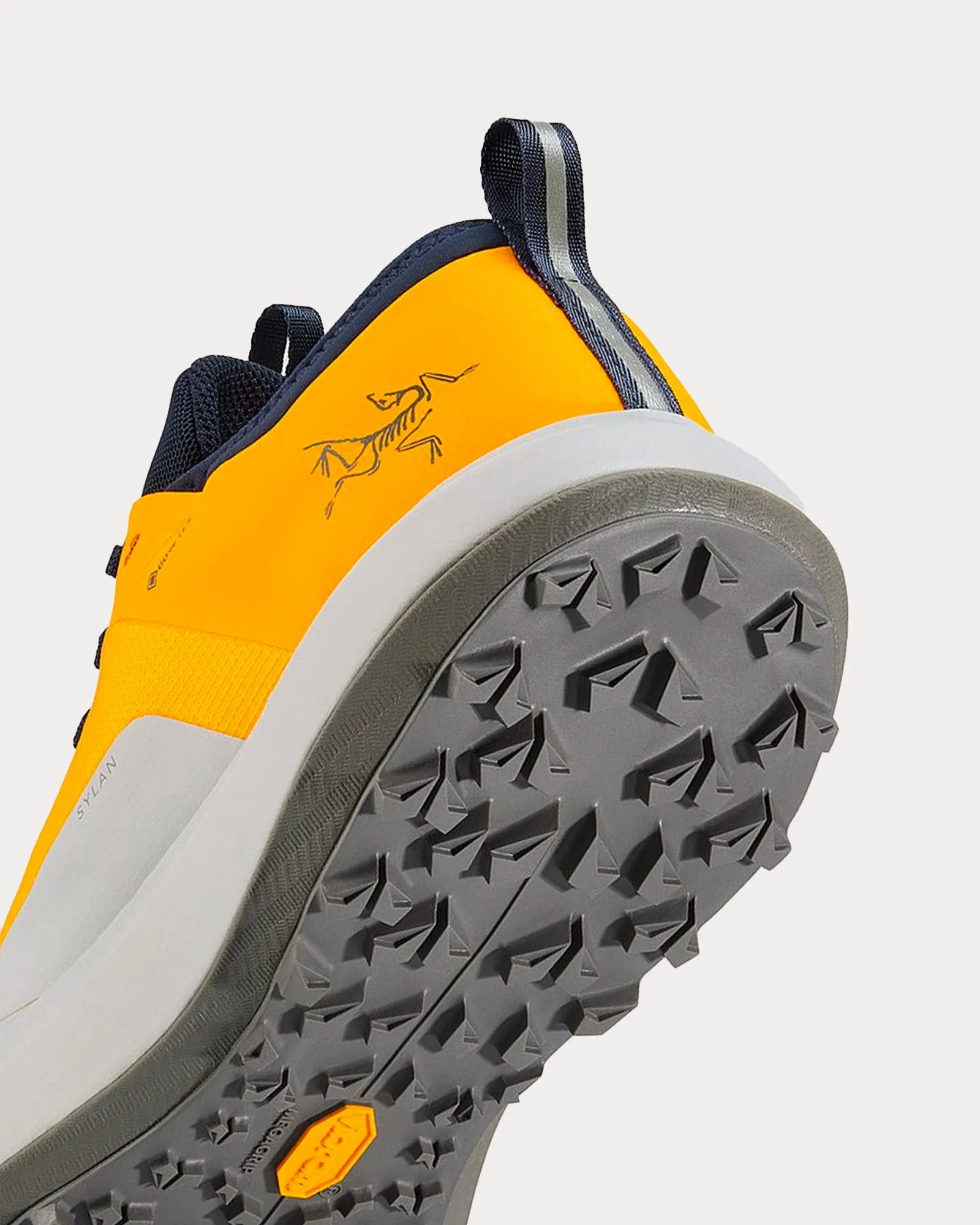 Sylan GTX Edziza / Solitude Running Shoes
